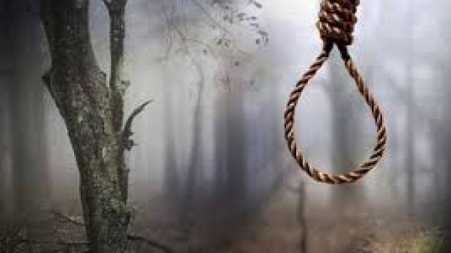 पेड़ से लटका मिला महिला का शव, जांच में जुटी पुलिस उधम सिंह नगर 