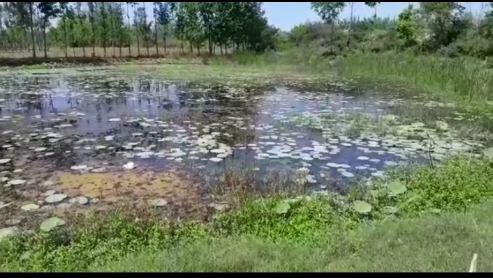 अधर में लटका