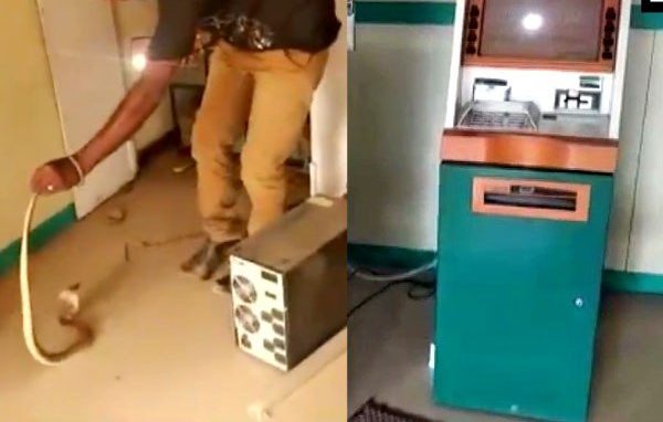  रामनगर में स्थित एक एटीएम के अंदर निकले 10 सांप के बच्चे मौके पर मचा हड़कंप