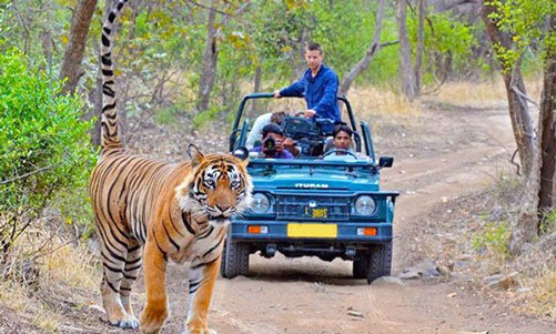 Gim Corbett National Park