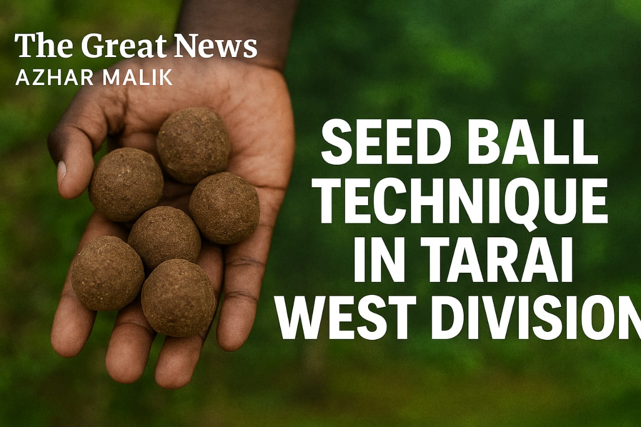तराई पश्चिमी डिवीजन में ‘सीड बॉल तकनीक’ लागू करने की तैयारी, जंगलों में हरियाली बढ़ाने का सस्ता और असरदार तरीका