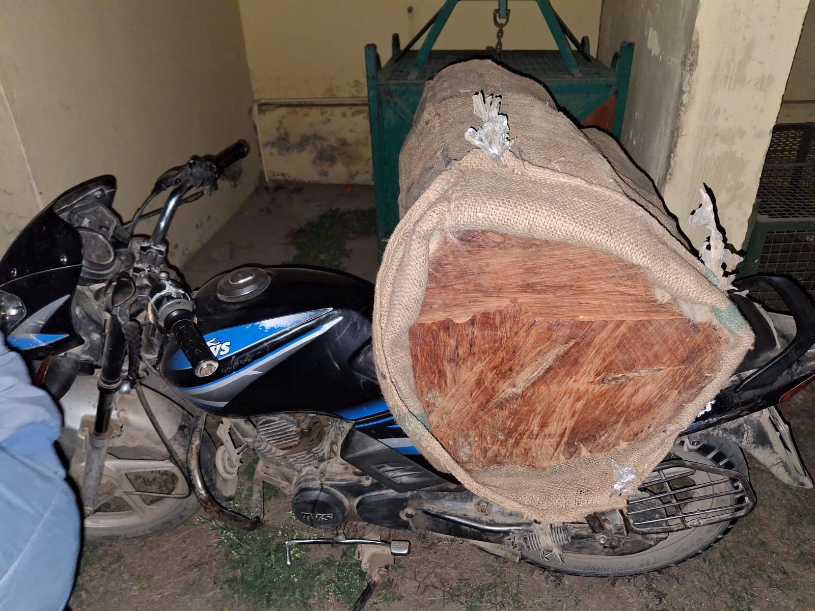 आधी रात का सन्नाटा, नहर का किनारा और बेशकीमती लकड़ियों का वो ‘काला खेल’ जो एक टॉर्च की रोशनी में दफन हो गया