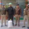 नशा तस्करों के लिए काल बनी रामनगर पुलिस, गांजे की बड़ी खेप पकड़ी।