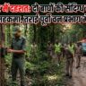 टाइगर स्टेट में 'दहशत': दो बाघों की संदिग्ध मौत के बाद जागा वन महकमा, तराई पूर्वी वन प्रभाग में हाई अलर्ट; लेकिन सवाल है कि हमेशा पानी सिर से ऊपर गुजरने के बाद ही क्यों खुलती है प्रशासन की नींद?