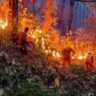Uttarakhand Forest Fire: घर बचाने गई महिला जिंदा जली, आग बुझाने निकला फायर वाचर भी खाई में गिरा; दो दर्दनाक मौतों से दहला उत्तराखंड