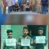 वन विभाग की ताबड़तोड़ कार्रवाई: सागौन तस्करों के सिंडिकेट का भंडाफोड़, हड़कंप