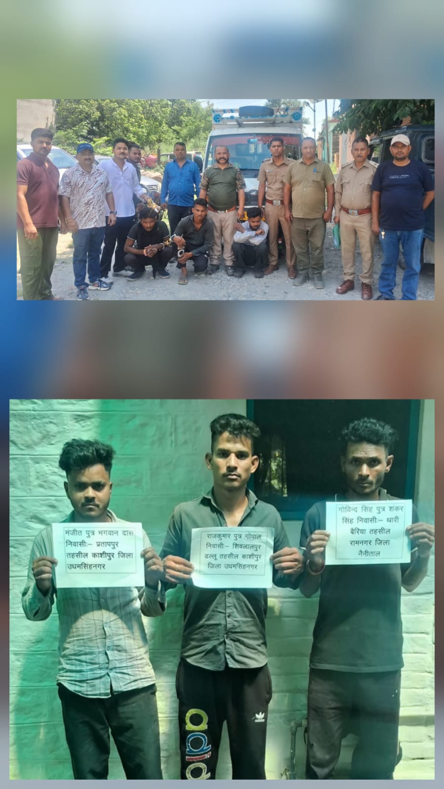 वन विभाग की ताबड़तोड़ कार्रवाई: सागौन तस्करों के सिंडिकेट का भंडाफोड़, हड़कंप