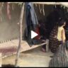 चन्दौली में रूह कंपा देने वाली वारदात: सोते समय युवक की कुल्हाड़ी से काटकर निर्मम हत्या, इलाके में फैला खौफ