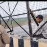 आगरा में चंबल के उफनते पानी और मौत के बीच 3 घंटे का हाई-वोल्टेज ड्रामा! प्रेमिका और नवजात बेटी के वियोग में जाली पर चढ़ा प्रेमी, फिर यूं बची जिंदगी