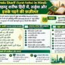 Alhamdu Sharif (Surah Fatiha) in Hindi: अलहम्दु शरीफ हिंदी में, तर्जुमा और इसके पढ़ने की फ़ज़ीलत