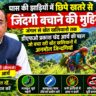 घास की झाड़ियों में छिपे खतरे से जिंदगी बचाने की मुहिम। जंगल से खेत खलियानो तक तक डीएफओ प्रकाश चंद आर्य की पहल जो बचा रही खेत खलियानों में अनमोल ज़िन्दगियाँ 