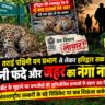 तराई पश्चिमी वन प्रभाग से लेकर हरिद्वार तक खूनी फंदे और जहर का नंगा नाच: कॉर्बेट के मुहाने पर वन्यजीवों की सुनियोजित हत्याओं से दहल उठा सिस्टम, अंतरराष्ट्रीय तस्करी के बड़े सिंडिकेट पर कब शिकंजा कसेगा?