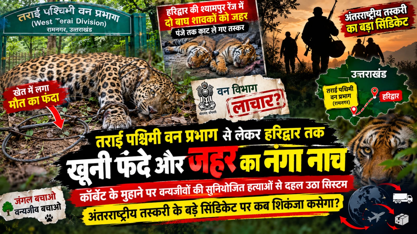 तराई पश्चिमी वन प्रभाग से लेकर हरिद्वार तक खूनी फंदे और जहर का नंगा नाच: कॉर्बेट के मुहाने पर वन्यजीवों की सुनियोजित हत्याओं से दहल उठा सिस्टम, अंतरराष्ट्रीय तस्करी के बड़े सिंडिकेट पर कब शिकंजा कसेगा?