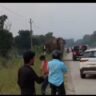 हरिद्वार में हाईवे पर अचानक आ गया गजराज: थार पर किया हमला, थम गई गाड़ियों की सांसें!