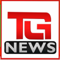 THE GREAT NEWS