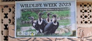 तराई पश्चिमी वन प्रभाग में वन्य प्राणी सप्ताह 2023 का सुभारंभ, वनकर्मियों ने सीखे गिद्ध संरक्षण के गुर