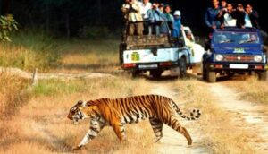 Gim Corbett National Park